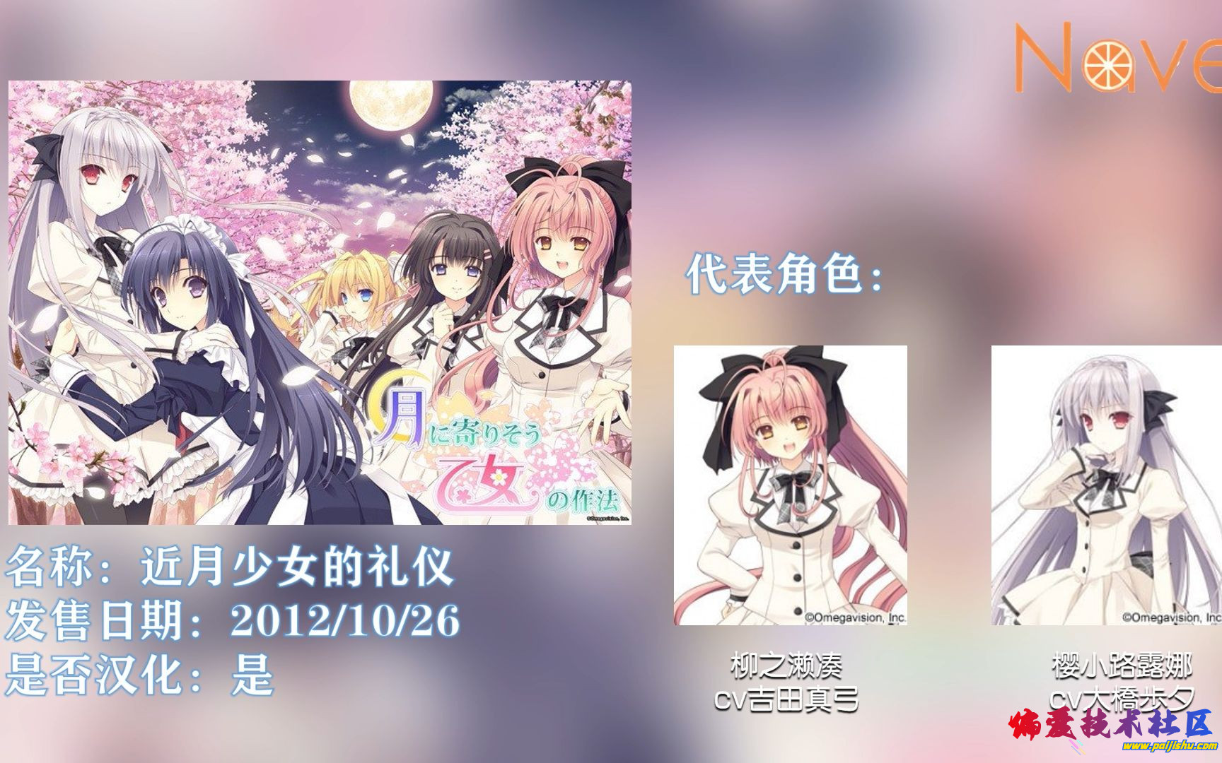 preview (1).png