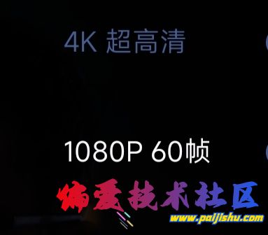 1000015167.jpg