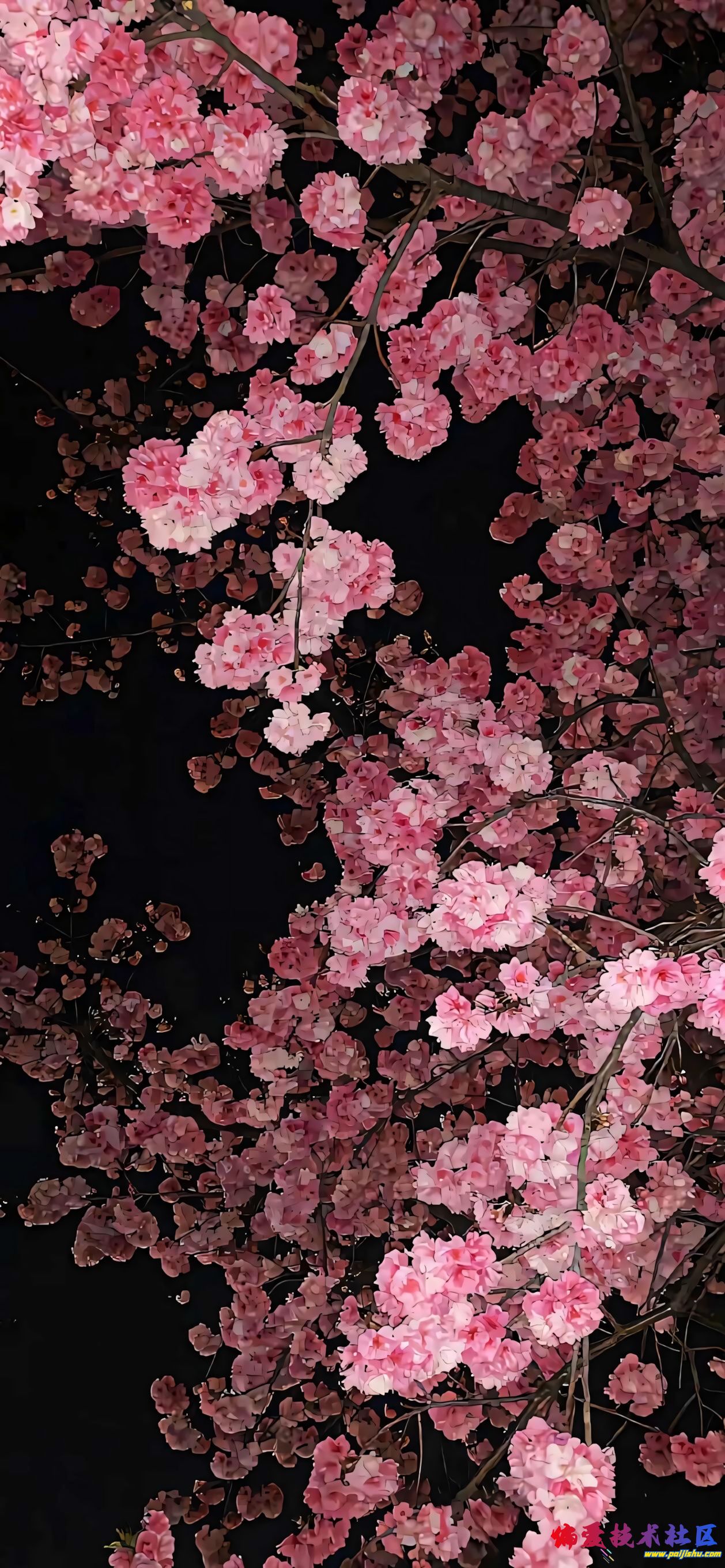 【哲风壁纸】夜樱-樱花-樱花树.png